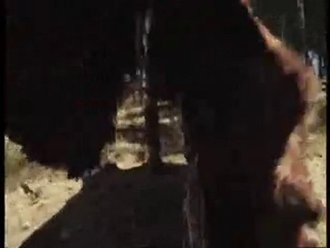 00108.mp4_8D94D87E(2)