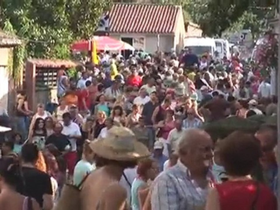 B.A: Les Médiévales de Clisson 2011