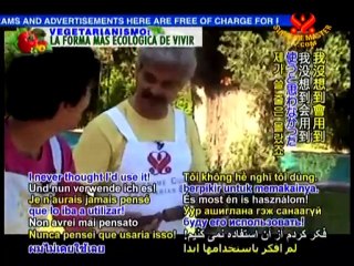 Argentinean Pan Dulce (Vegan Sweet Bread)