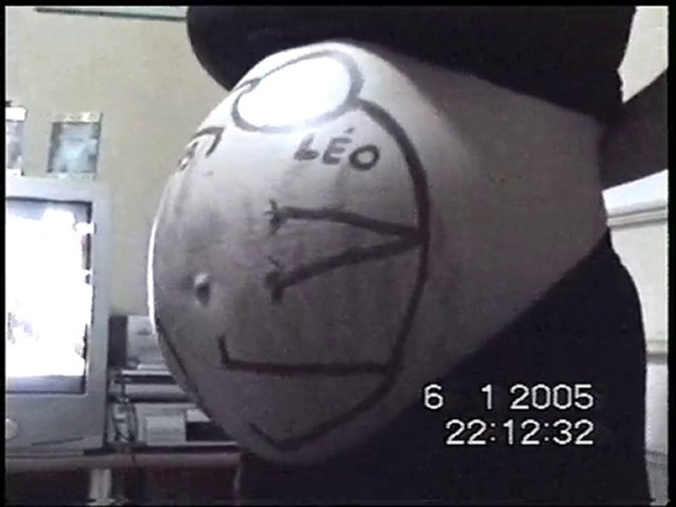 Grossesse Léo et Lucas