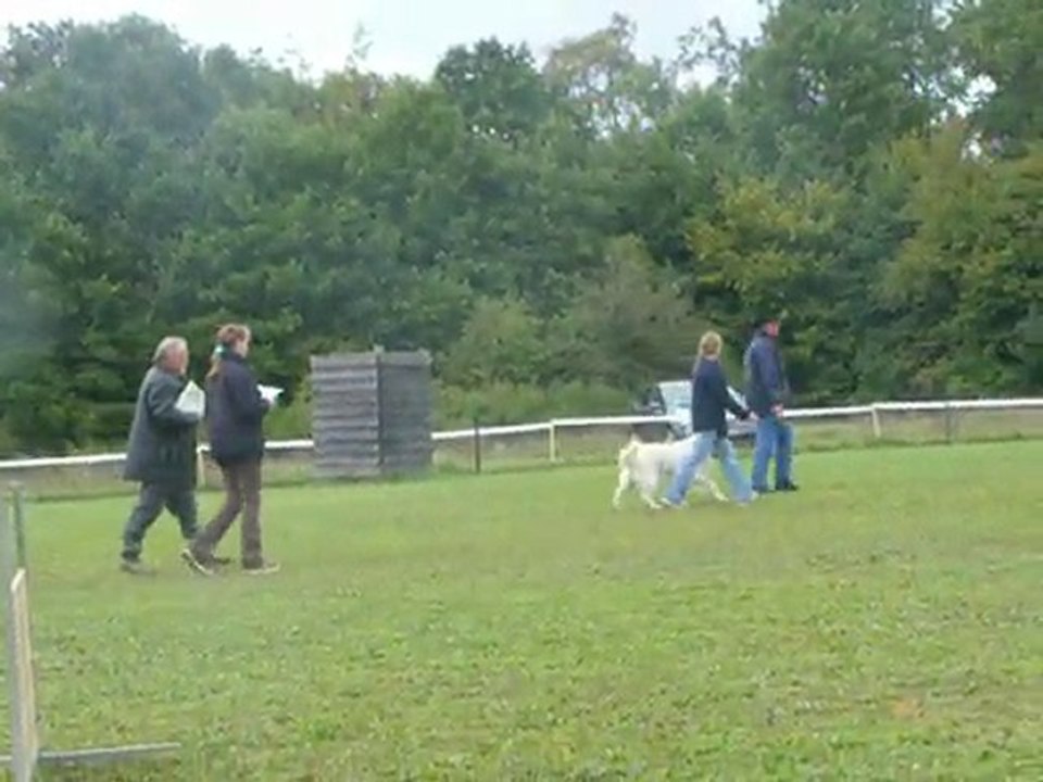 choupette obe 1