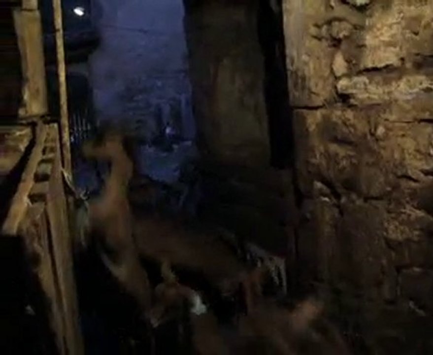 10-Folie du soir des chevrettes le 04-05-07