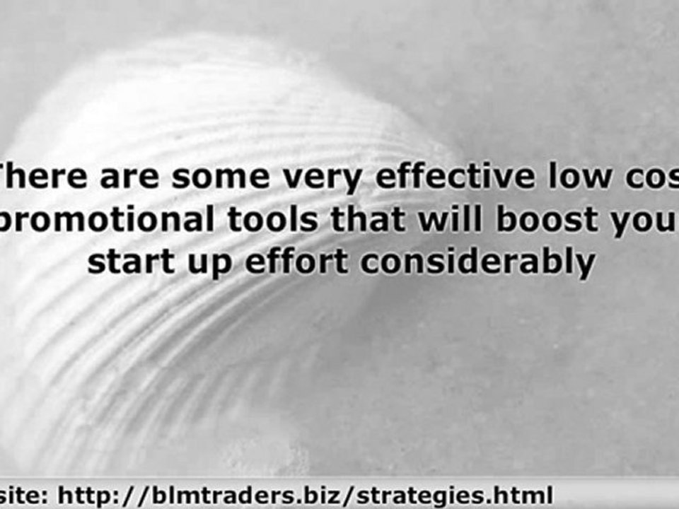 Web Site Linking Strategies