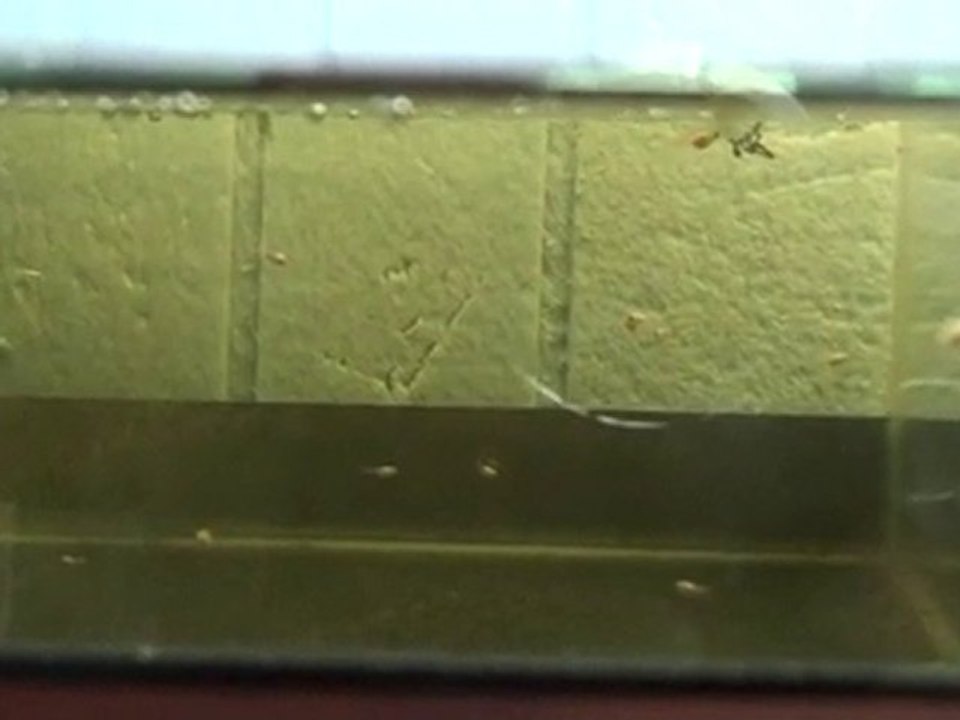 20100925204722