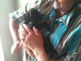 fangio du reve de nerval