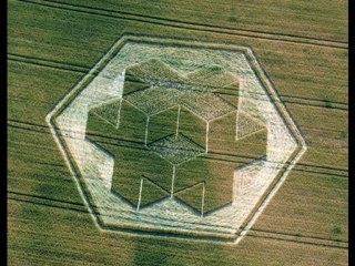 Crop Circles 2010