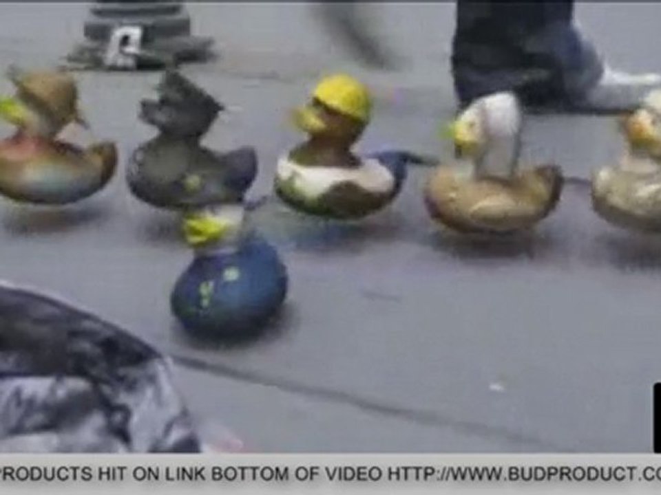 BUD COLLECTABLE DUCKS DESIGNED BY SIMON PITHIE