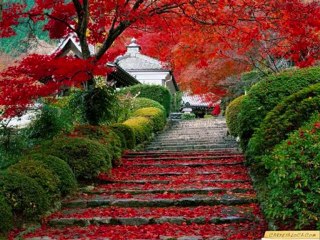 Ibrahim Sadri - Ben Seni Hic Sevmedimki