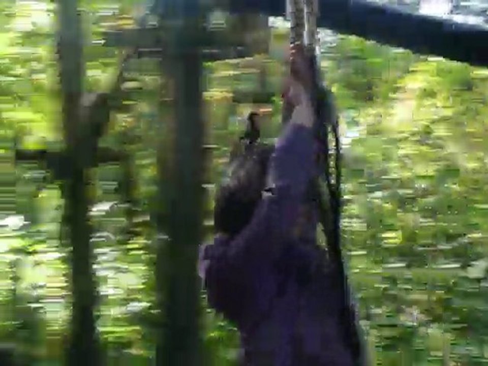 accrobravideo (2)