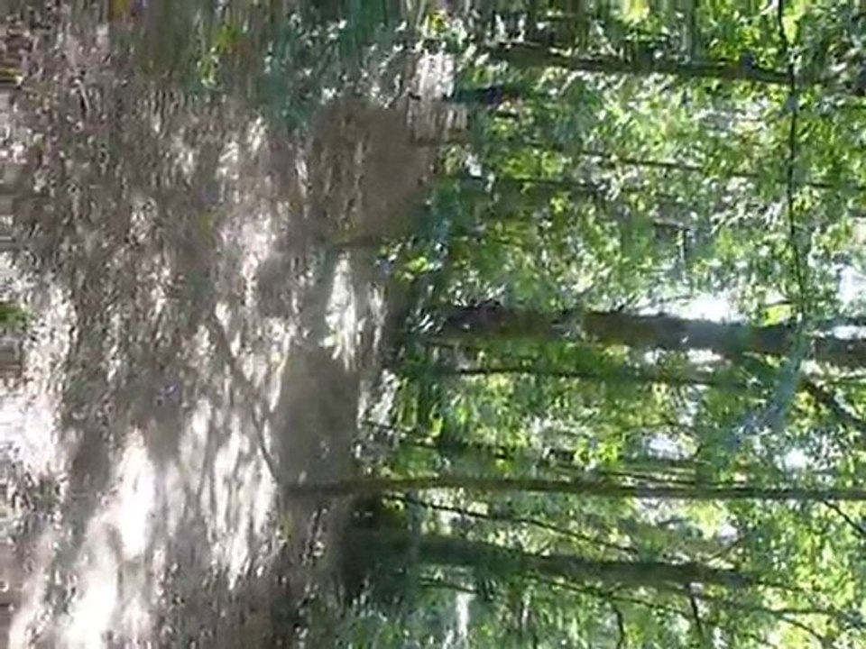 accrobravideo (4)