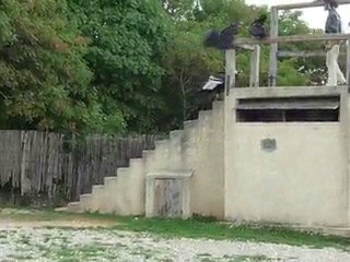 Le rocher aux aigles