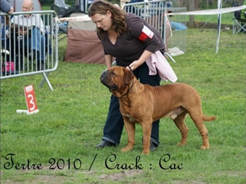 L'Exigence kennel