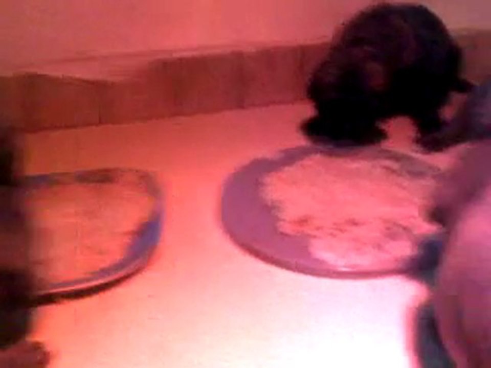 bouillie 26-09-10 001