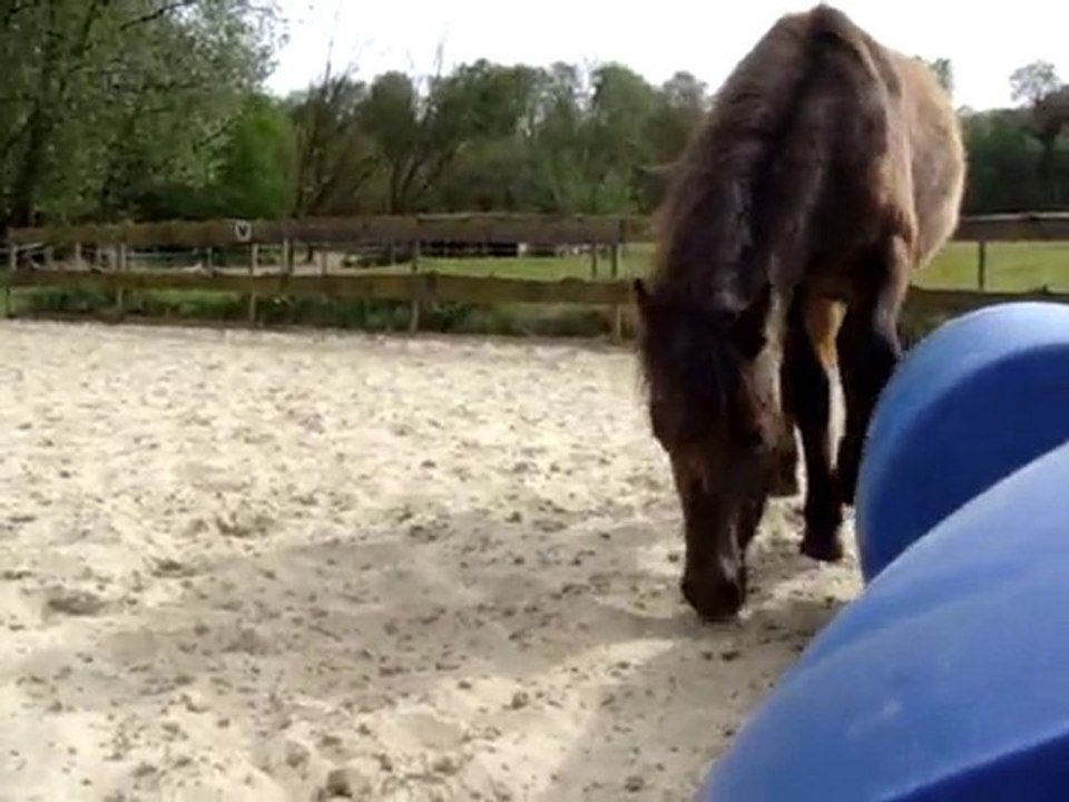 aramis videos fevrier - septembre 2010