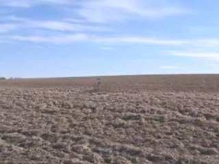 Homes for Sale - Lt22  Ashland Dr - Ashford, WI 53010 - Cold