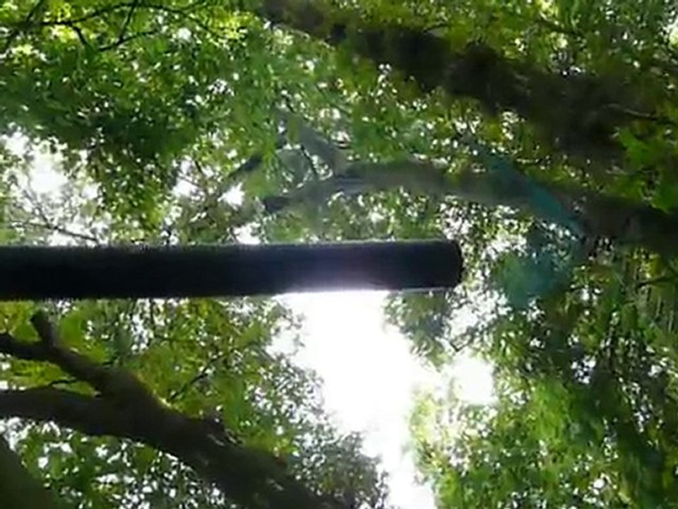 accrobravideo (9)