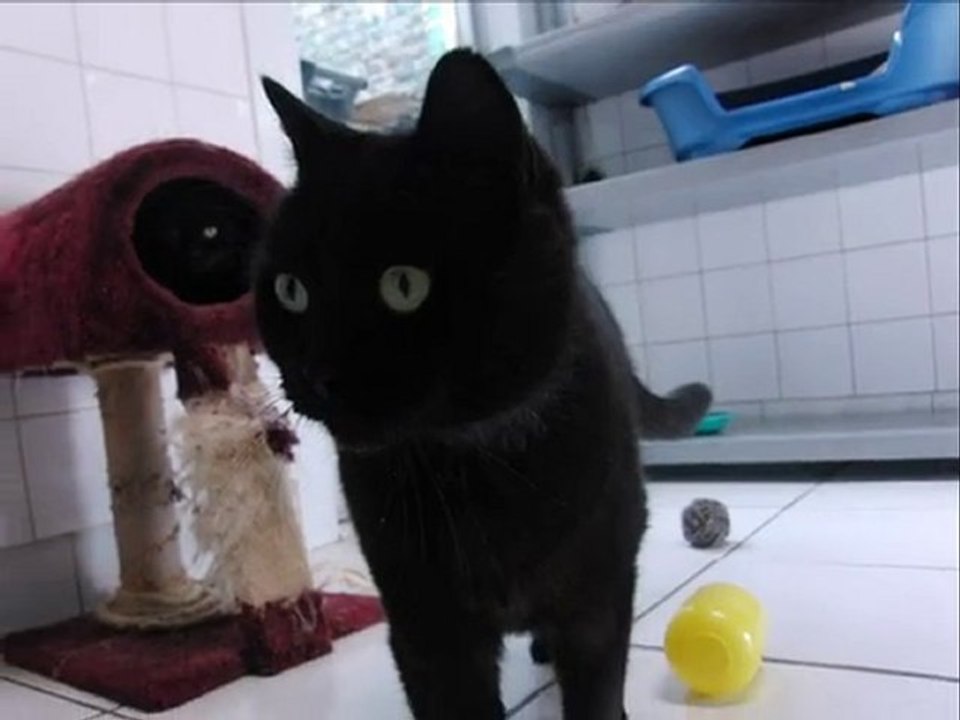 PORTES OUVERTES SPA DE TOURCOING