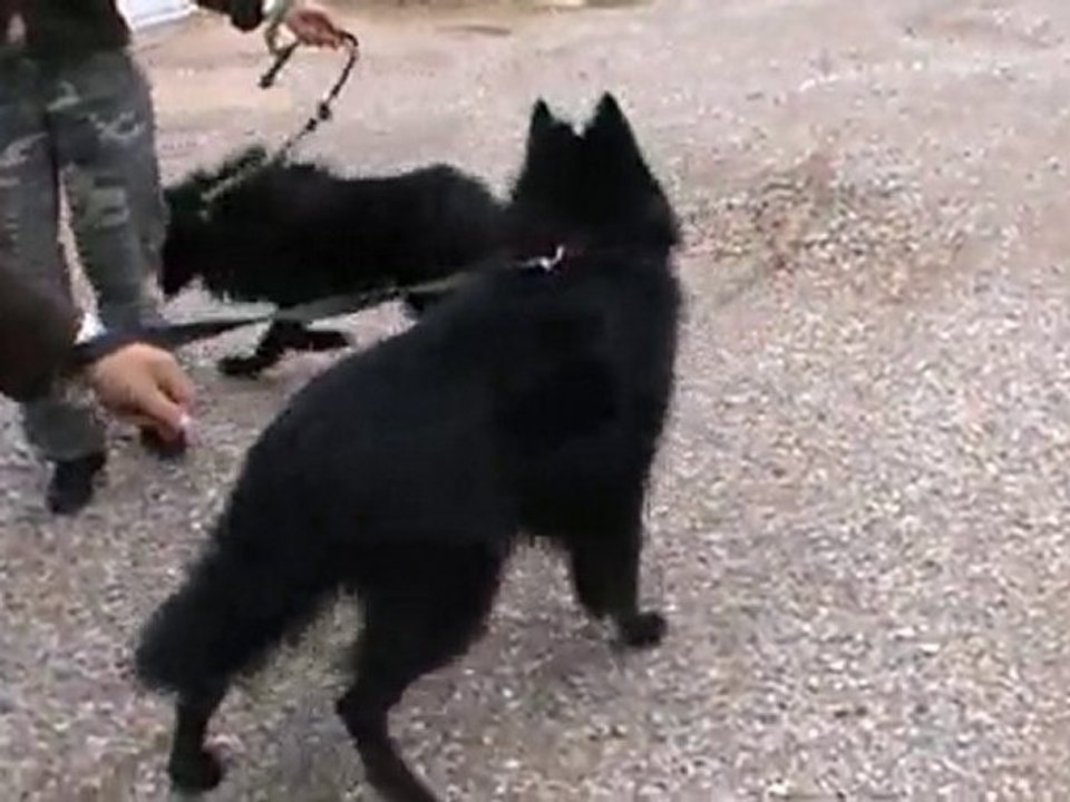 Rencontre Alphi - Athys