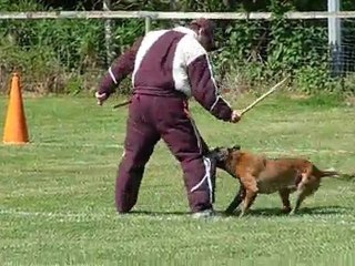 dan du domaine de sainte mathilde