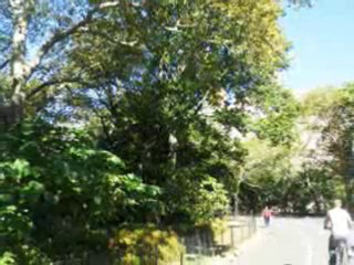 FILM PHOTOS NEW YORK SEPT. 2010