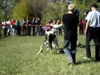 Аграм(Курск) - Вагши  1раунд