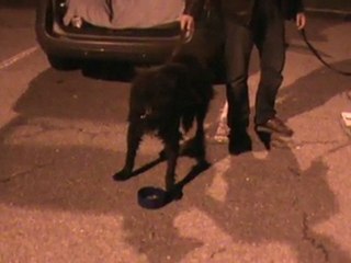 Pause croquettes sur l'autoroute !