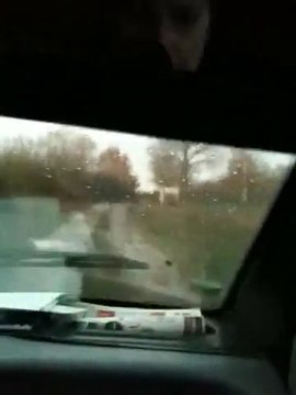 Staff Ulk Et Aleria Et Vindetta En Ballade