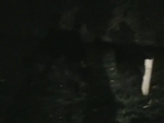 Ballade nocturne dans le jardin !