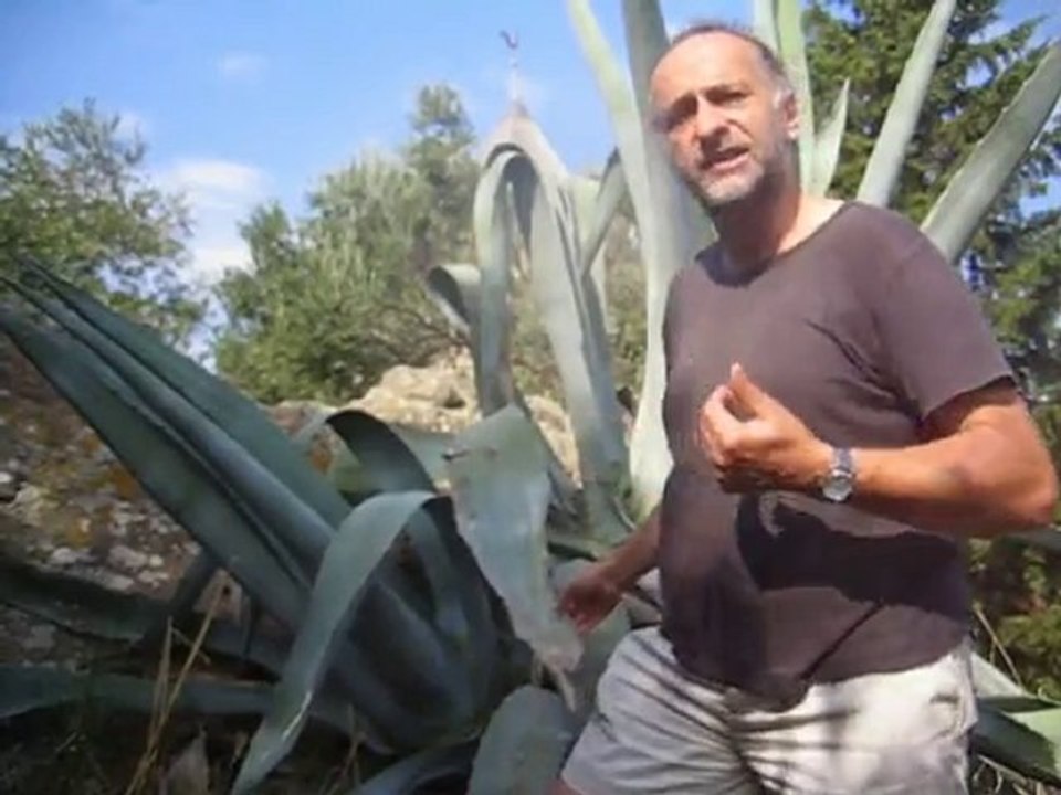 Dans la vie, il y a des cactus !