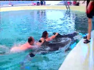 NAGE AVEC LES DAUPHINS