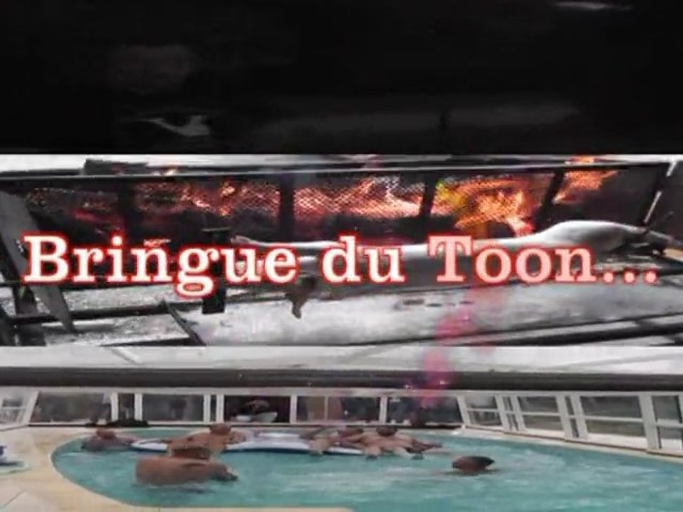 la bringue du toon