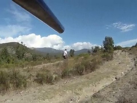 Setter de la foret du melu CH.ETA