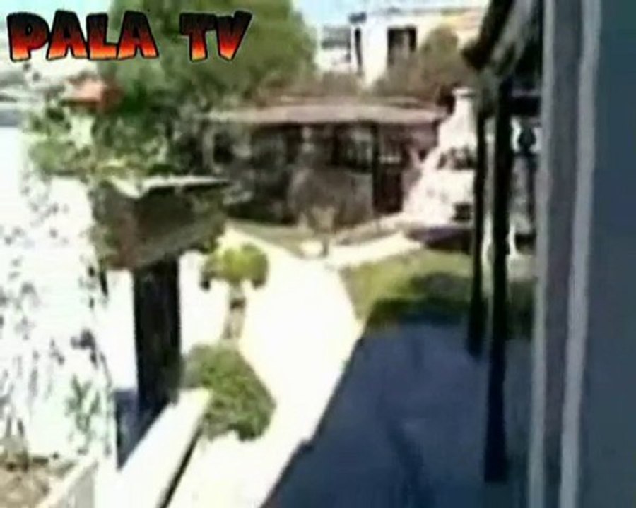 PALATV