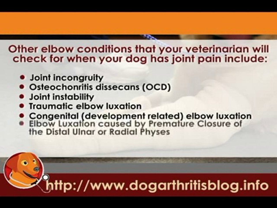 Dog Arthritis and Common Joint Problems - Front Legs Part 1
