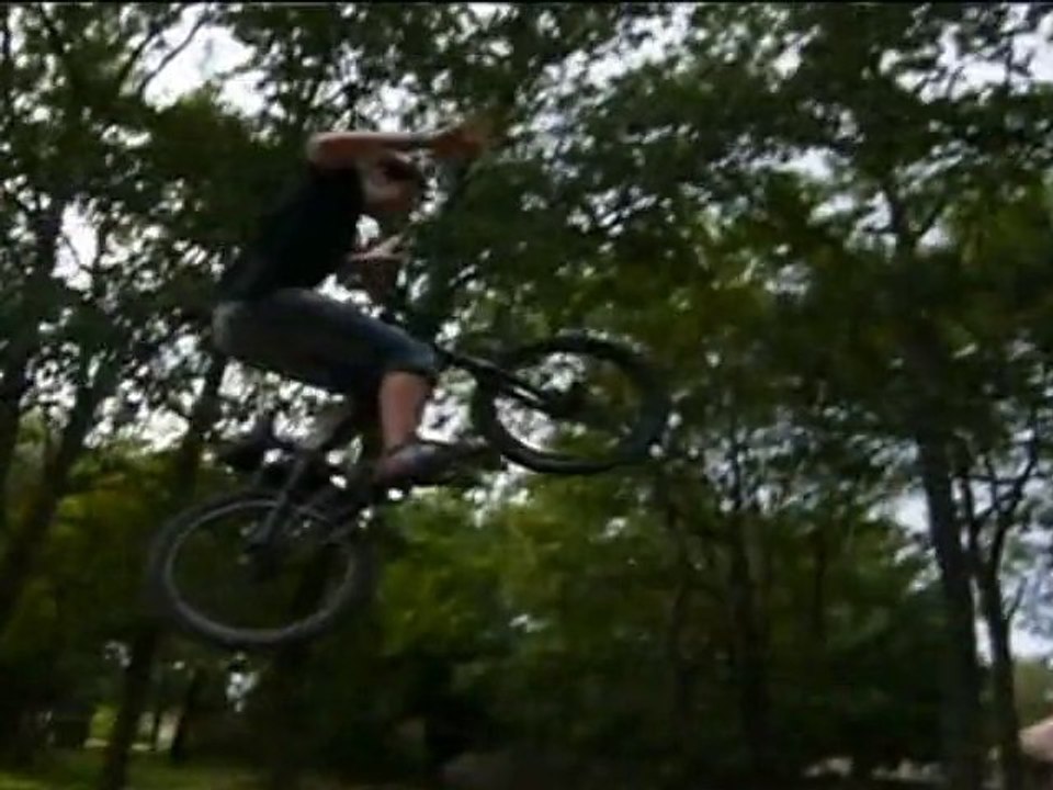 session au big tree trail