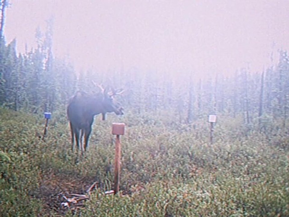 Visite à ma saline 2010