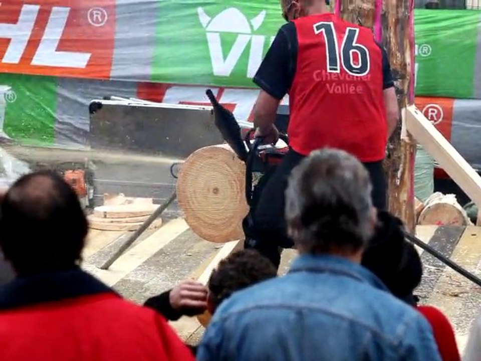 Concours tronçoneuse à Palaiseau 2010