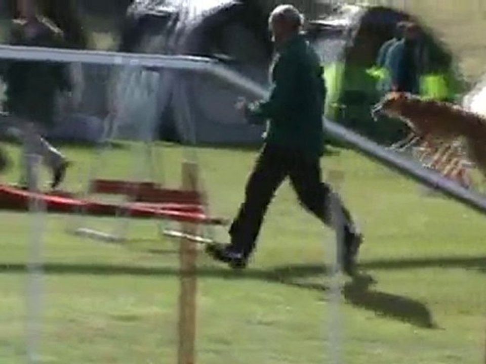 Cayenne Open Chateauroux 2010