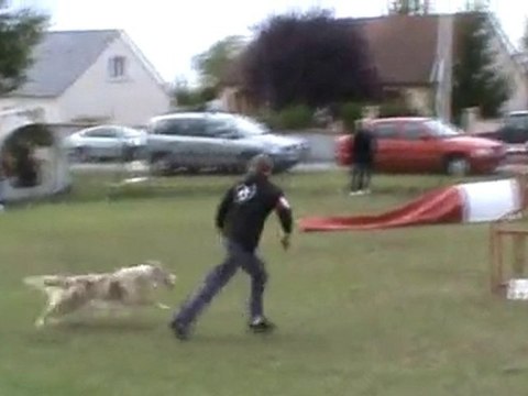 Chanel jumping Chateauroux 2010