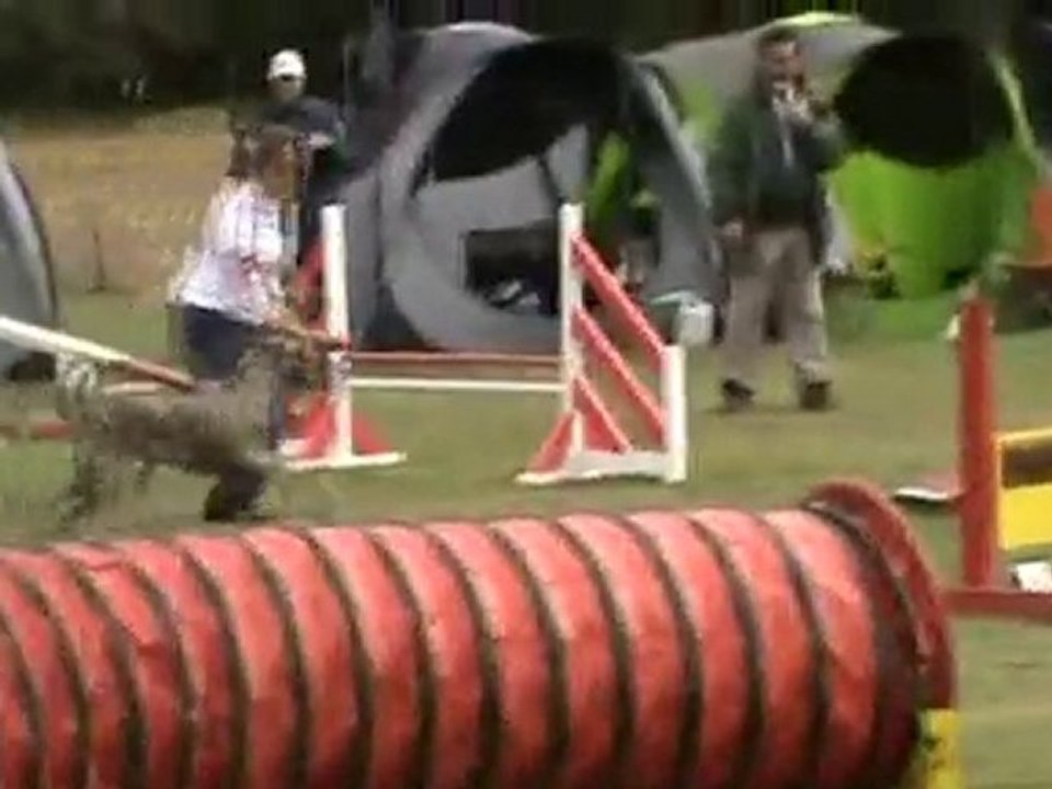 Baila 2° degré Chateauroux 2010