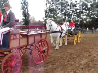 Fête du cheval 26/09/2010  (1)