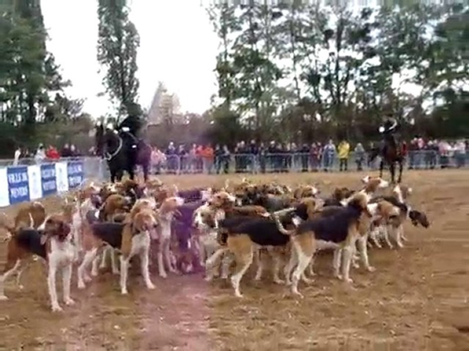Fête du cheval 26/09/2010  (3)