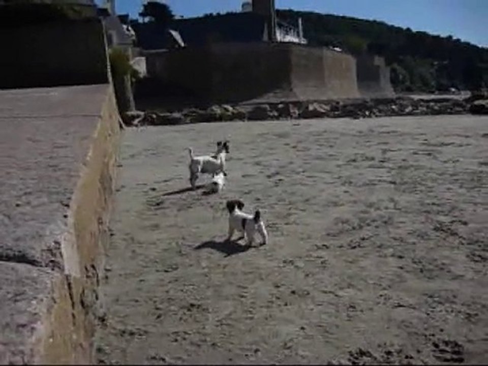 on fait connaissance avec la plage