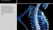 Chiropractic Phoenix | Chiropractor Phoenix | Chiropractors