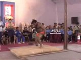NUMERUS CLAUSU KINES Indian_pole_gymnastics