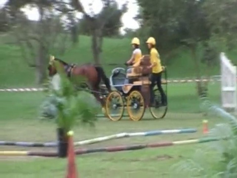 mania coralie colosse