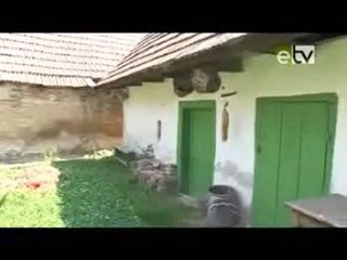 Etv online - Barangoló