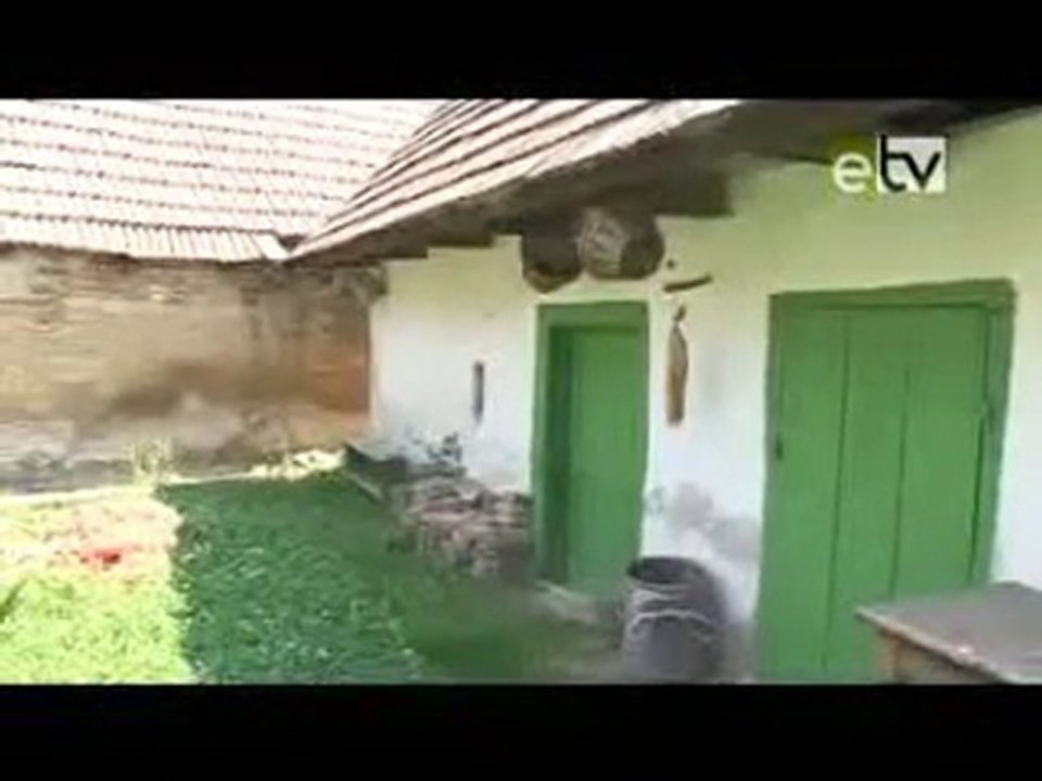 Etv online - Barangoló