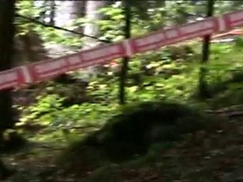 Course de côte de Malbuisson 2010 - morceaux choisis