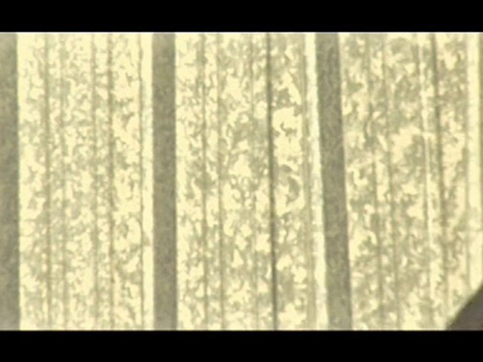 cartouche